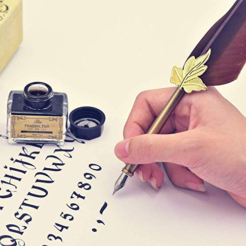 Calligraphy Feather Pen Set- Vintage Writing Feather Quill Pen Ink Set- 5pcs Metal Pen Nib Wedding Gift Set (Compass Box Feather Pen)