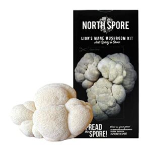 North Spore Organic Lion's Mane Mushroom Spray & Grow Kit (4 lbs) | USDA Certified Organic, Non-GMO, Beginner Friendly & Easy to Use | Grow Your Mushrooms at Home | Handmade in Maine, USA