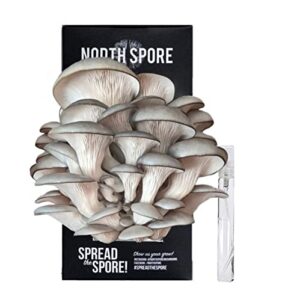 north spore organic blue oyster mushroom spray & grow kit (4 lbs) | usda certified organic, non-gmo, beginner friendly & easy to use | grow your mushrooms at home | handmade in maine, usa