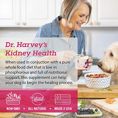 Dr. Harvey's Kidney Health Kidney Support Supplement for Dogs (4 Ounces)