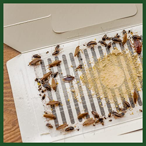 Greener Mindset Roach Traps - 12 Indoor Sticky Glue Catchers - Beetles, Spiders, Scorpions, Ants, Centipedes, and Cockroach Traps