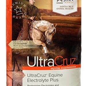 UltraCruz Equine Electrolyte Plus Supplement for Horses, 25 lb, Pellet (93 Day Supply),sc-516344