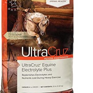 UltraCruz Equine Electrolyte Plus Supplement for Horses, 25 lb, Pellet (93 Day Supply),sc-516344