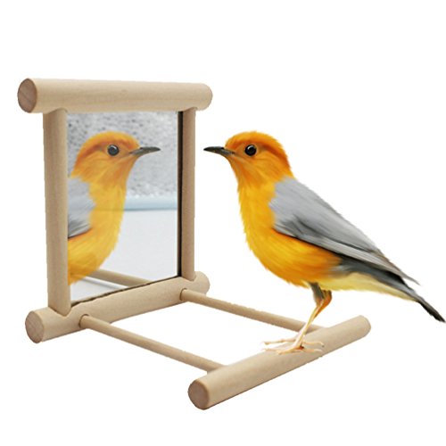 Bird Mirror Toy with Perch Stand for Parrot Budgie Parakeet Cockatiels Conure Finch Lovebird Canary African Grey Macaw Amazon Cockatoo Cage Wood Toy