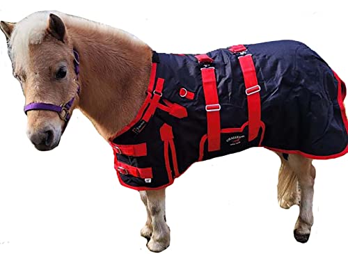 CHALLENGER 60" 1200D Miniature Weanling Donkey Pony Horse Foal Winter Blanket Red BLK 51946