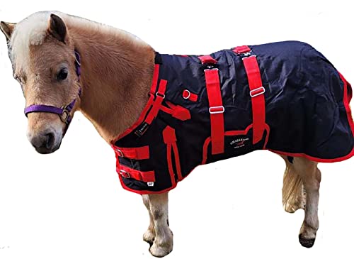 CHALLENGER 40" 1200D Miniature Weanling Donkey Pony Horse Foal Winter Blanket Red BLK 51946