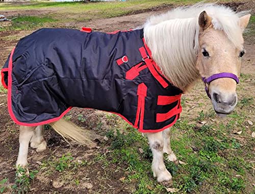 CHALLENGER 40" 1200D Miniature Weanling Donkey Pony Horse Foal Winter Blanket Red BLK 51946