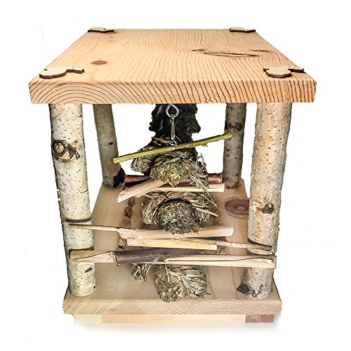 Small Pet Select Wonderland Play Table