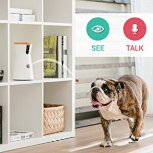 Furbo Dog Camera (2 Pack): Treat Tossing, Full HD WiFi Pet Camera and 2-Way Audio, Designed for Dogs, Compatible with Alexa (As Seen On Ellen)