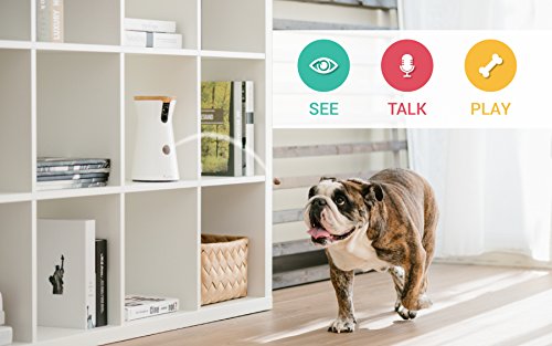 Furbo Dog Camera (2 Pack): Treat Tossing, Full HD WiFi Pet Camera and 2-Way Audio, Designed for Dogs, Compatible with Alexa (As Seen On Ellen)