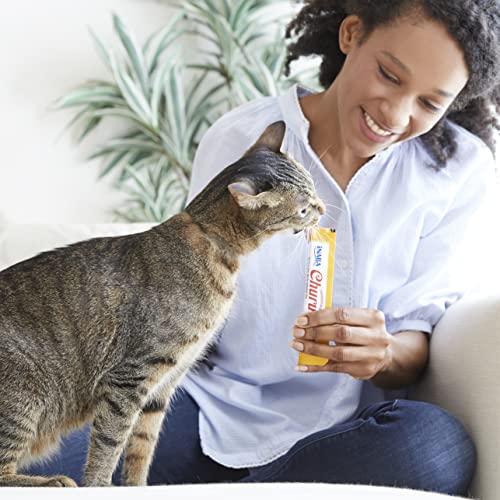 INABA Churu Cat Treats, Grain-Free, Lickable, Squeezable Creamy Purée Cat Treat/Topper with Vitamin E & Taurine, 0.5 Ounces Each Tube, 4 Tubes, Tuna with Salmon Recipe