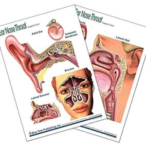 Ear Nose and Throat Support Card