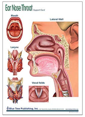 Ear Nose and Throat Support Card