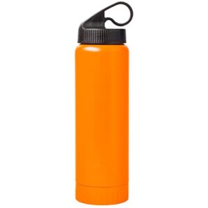 silver buffalo double walled vacuum insulated stainless steel water bottle, 20 ounces, orange