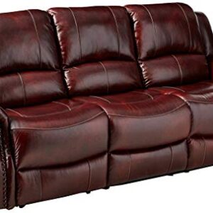 Cambridge Telluride Leather Double Reclining Sofa, Brown