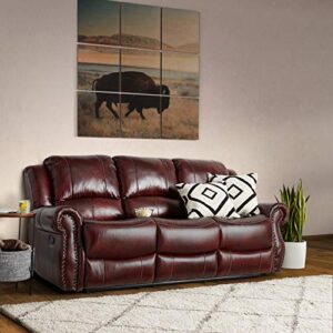 Cambridge Telluride Leather Double Reclining Sofa, Brown