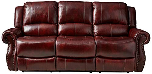 Cambridge Telluride Leather Double Reclining Sofa, Brown