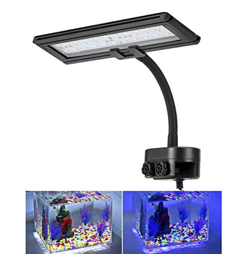 hygger 9.7 Inches Blue White LED Aquarium Light Clip on Small Led Light for Planted Saltwater Freshwater Fish Tank with Gooseneck Clamp 13W