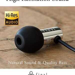 Final Audio Design E3000C H-Res Earphone Stainless Steel Black