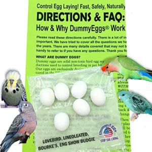 dummyeggs 6 lovebird to stop laying! realistic 7/8" x 3/4" plastic mock fake bird eggs for lovebird, lineoleated, eng budgie, bourke's. solid non-toxic plastic. ship fast usa