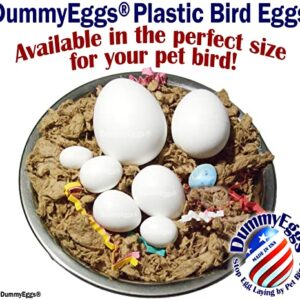 DummyEggs 6 Lovebird to Stop Laying! Realistic 7/8" x 3/4" Plastic Mock Fake Bird Eggs for Lovebird, Lineoleated, Eng Budgie, Bourke's. Solid Non-Toxic Plastic. Ship Fast USA