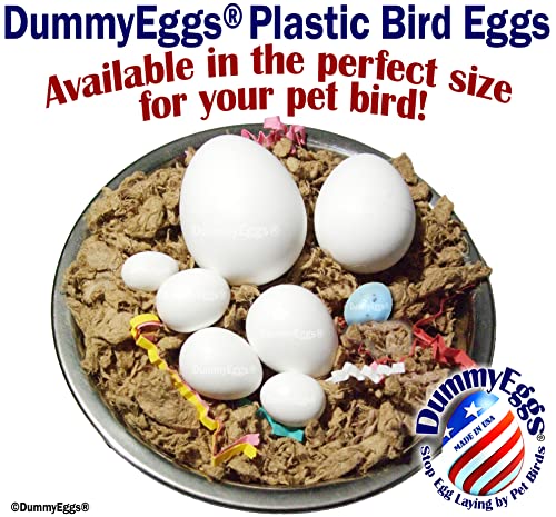 DummyEggs 6 Lovebird to Stop Laying! Realistic 7/8" x 3/4" Plastic Mock Fake Bird Eggs for Lovebird, Lineoleated, Eng Budgie, Bourke's. Solid Non-Toxic Plastic. Ship Fast USA