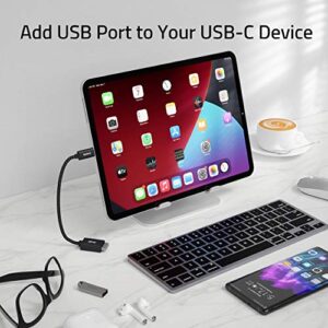 Syntech USB C to USB Adapter, 2 Pack USB C to USB3 Adapter,USB Type C to USB,Thunderbolt 3 to USB Female Adapter OTG Cable Compatible with iPad Mini 6, MacBook Pro, Air and More