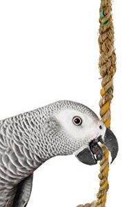 51205 Small Swing Around Bird Toy Cage Parrot Toys Cages Natural Foraging