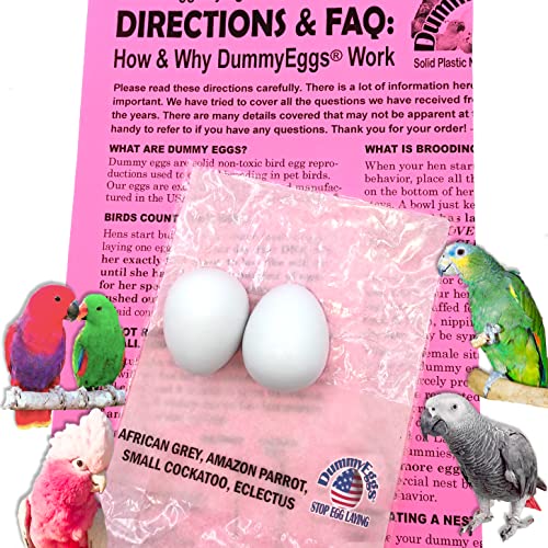 DummyEggs 2 Medium Parrot Dummy Eggs to Control Laying! 1.5" x 1" (3.7 x 3cm) Non-Toxic Solid Plastic Fake Bird Eggs African Grey, Eclectus, Azn, Small Cockatoo or Macaw. Ship Fast USA