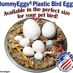 DummyEggs 2 Medium Parrot Dummy Eggs to Control Laying! 1.5" x 1" (3.7 x 3cm) Non-Toxic Solid Plastic Fake Bird Eggs African Grey, Eclectus, Azn, Small Cockatoo or Macaw. Ship Fast USA