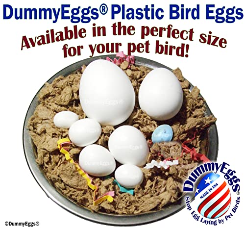 DummyEggs 2 Medium Parrot Dummy Eggs to Control Laying! 1.5" x 1" (3.7 x 3cm) Non-Toxic Solid Plastic Fake Bird Eggs African Grey, Eclectus, Azn, Small Cockatoo or Macaw. Ship Fast USA