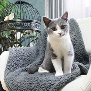 furrybaby Premium Fluffy Fleece Dog Blanket, Soft and Warm Pet Throw for Dogs & Cats (Small (24 * 32"), Grey Blanket)