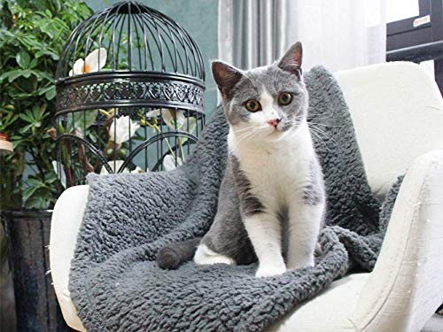 furrybaby Premium Fluffy Fleece Dog Blanket, Soft and Warm Pet Throw for Dogs & Cats (Small (24 * 32"), Grey Blanket)