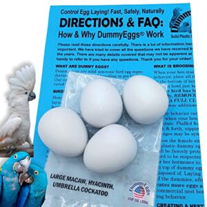 dummyeggs 4 large parrot dummy eggs control breeding & laying! realistic macaw, hyacinth, cockatoo. solid non-toxic premium plastic fake bird eggs. 1-7/8" x 1-1/2" (4.8 x 3.8cm) usa