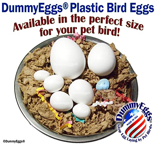 DummyEggs 4 Large Parrot Dummy Eggs Control Breeding & Laying! Realistic Macaw, Hyacinth, Cockatoo. Solid Non-Toxic Premium Plastic Fake Bird Eggs. 1-7/8" x 1-1/2" (4.8 x 3.8cm) USA