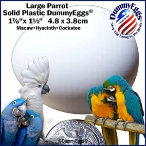 DummyEggs 4 Large Parrot Dummy Eggs Control Breeding & Laying! Realistic Macaw, Hyacinth, Cockatoo. Solid Non-Toxic Premium Plastic Fake Bird Eggs. 1-7/8" x 1-1/2" (4.8 x 3.8cm) USA