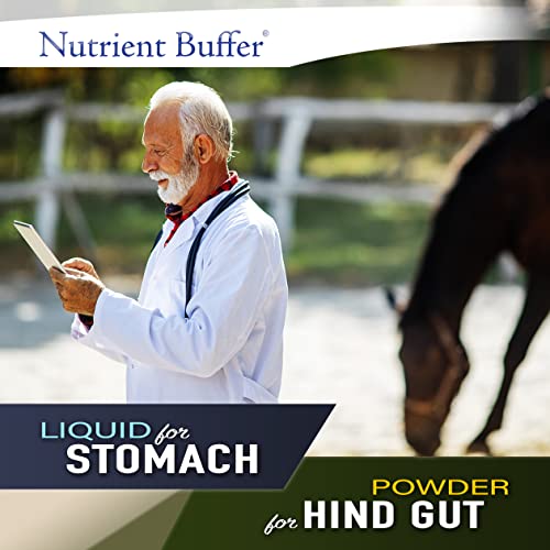 Nutrient Buffer HG - Equine Hind Gut Lower Gastric Digestive Support Formula for Horses