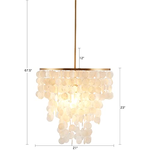 Urban Habitat Isla Modern Classic Chandeliers-Metal, White Shell Shade Pendant Ligthing Lamp Ceiling Dining Room Lighting Fixtures Hanging