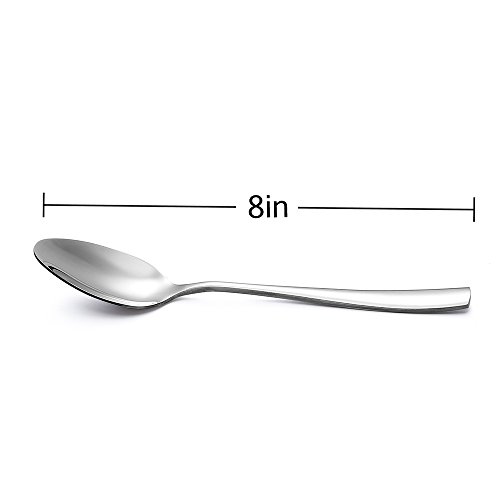 Eslite 12-Piece Large Stainless Steel Dinner Spoons,8 Inches