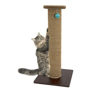 kitty city sisal post cat scratchers and cushion