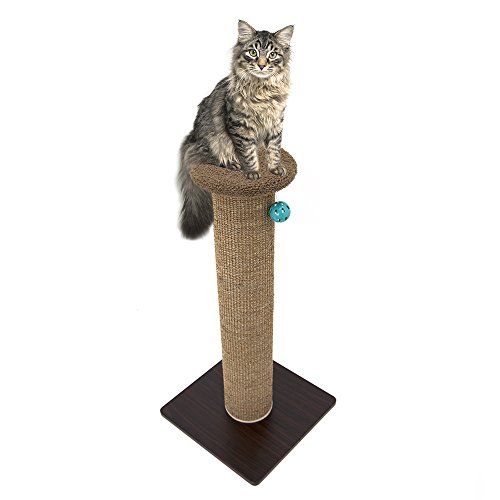 Kitty City Sisal Post Cat Scratchers and Cushion