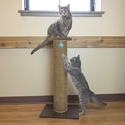 Kitty City Sisal Post Cat Scratchers and Cushion