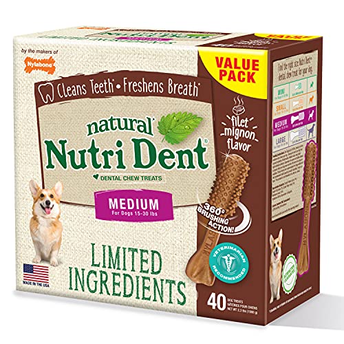 Nylabone Nutri Dent Dog Dental Treats - Natural Dog Teeth Cleaning & Breath Freshener - Dental Treats for Dogs - Filet Mignon Flavor, Medium (40 Count)