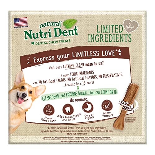 Nylabone Nutri Dent Dog Dental Treats - Natural Dog Teeth Cleaning & Breath Freshener - Dental Treats for Dogs - Filet Mignon Flavor, Medium (40 Count)