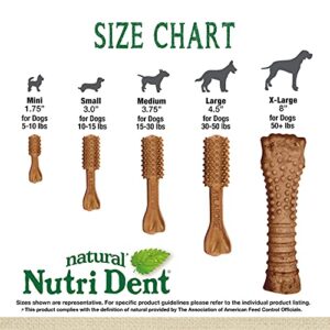 Nylabone Nutri Dent Dog Dental Treats - Natural Dog Teeth Cleaning & Breath Freshener - Dental Treats for Dogs - Filet Mignon Flavor, Medium (40 Count)