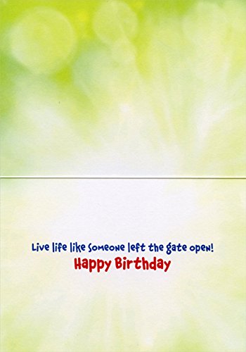 Running Dog Funny Birthday Card