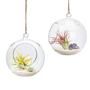mkono 6-inch hanging glass planter round air plant terrarium decorations for succulent, tillandsia, candle holder, 2 packs