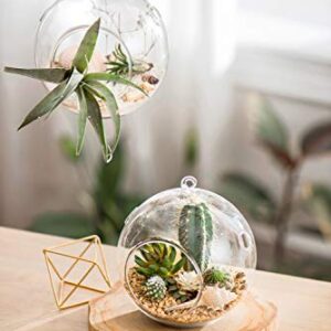 Mkono 6-Inch Hanging Glass Planter Round Air Plant Terrarium Decorations for Succulent, Tillandsia, Candle Holder, 2 Packs