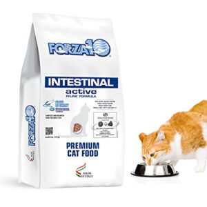 forza10 active intestinal support diet dry cat food for adult cats, cat food dry for upset stomach, diarrhea and intestinal disorders, wild caught anchovy flavor, 4 pound bag