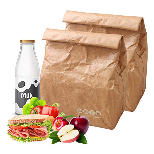 Hangnuo 2 Pack Insulated Brown Paper Lunch Bags Reusable, Retro Lunch Sacks for Adults Work Office, Brown Paper - 10" x 8" x 4.3"